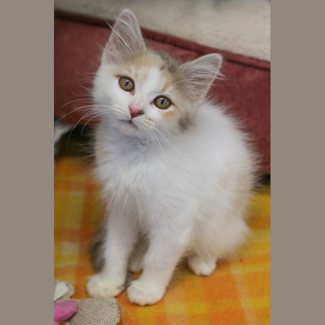 Photo of Milly