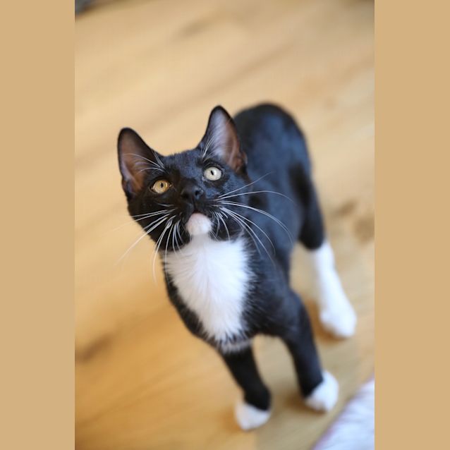 Photo of Lennon