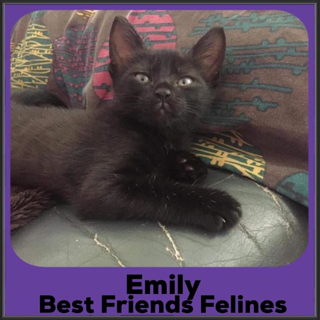 Photo of Emily 