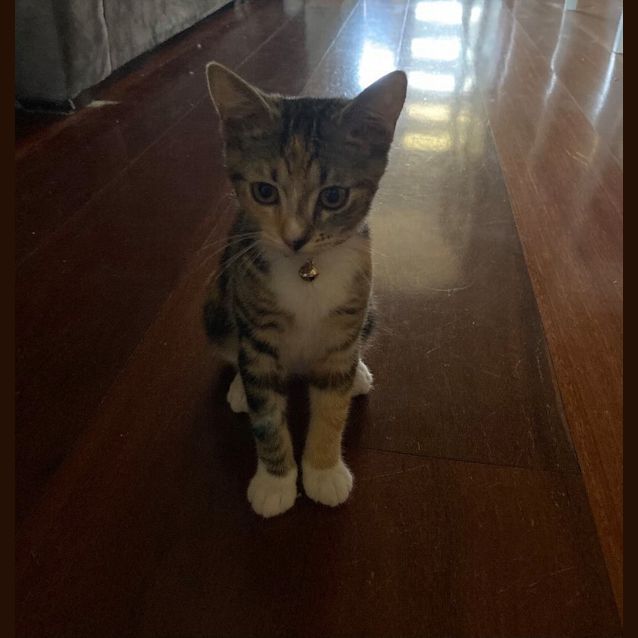 Photo of Tilly