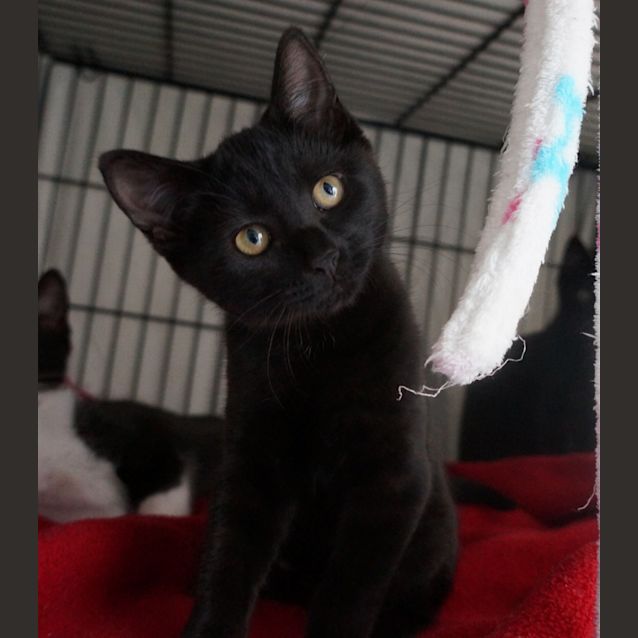 Photo of Freda
