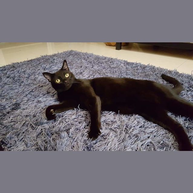 Photo of Benny