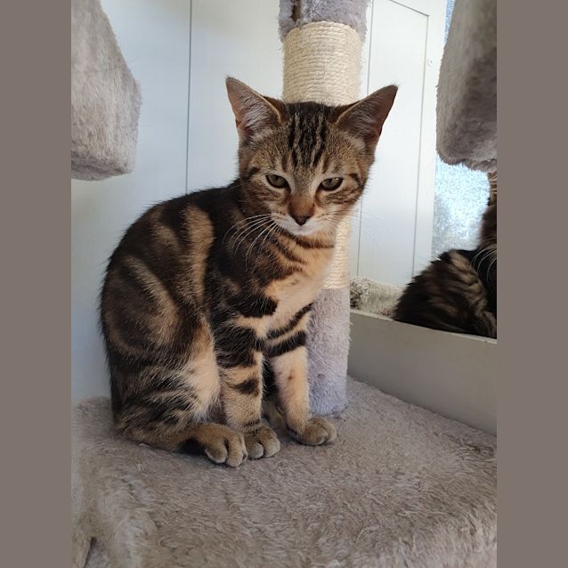 Photo of Penelope