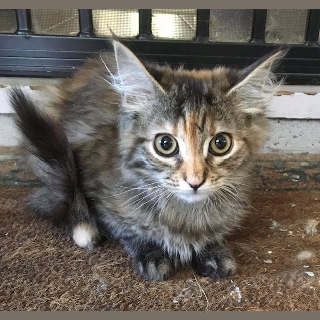 Photo of Sprout