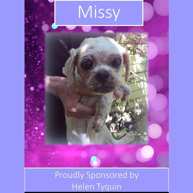 Photo of Missy