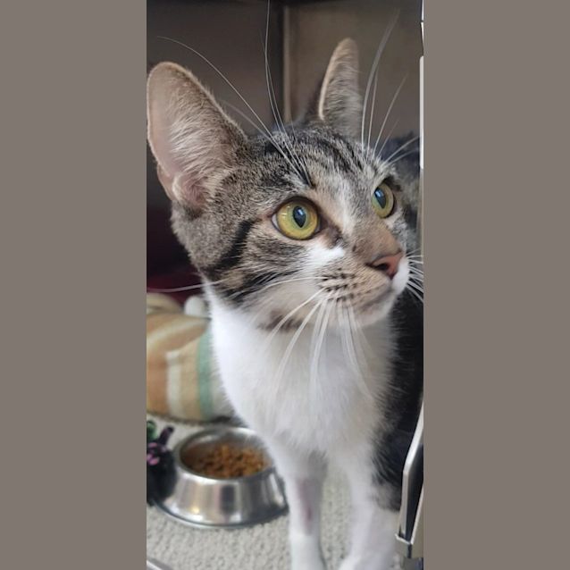 Photo of Missy