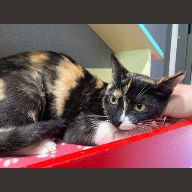 Photo of Wendy