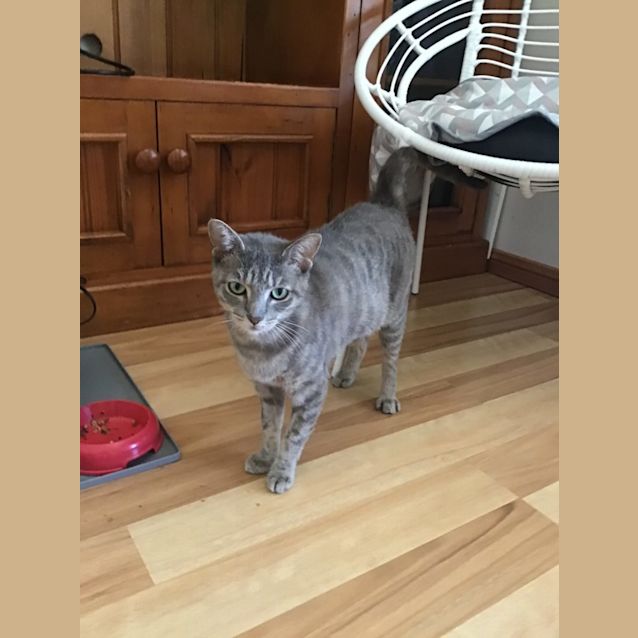 Photo of Truffle