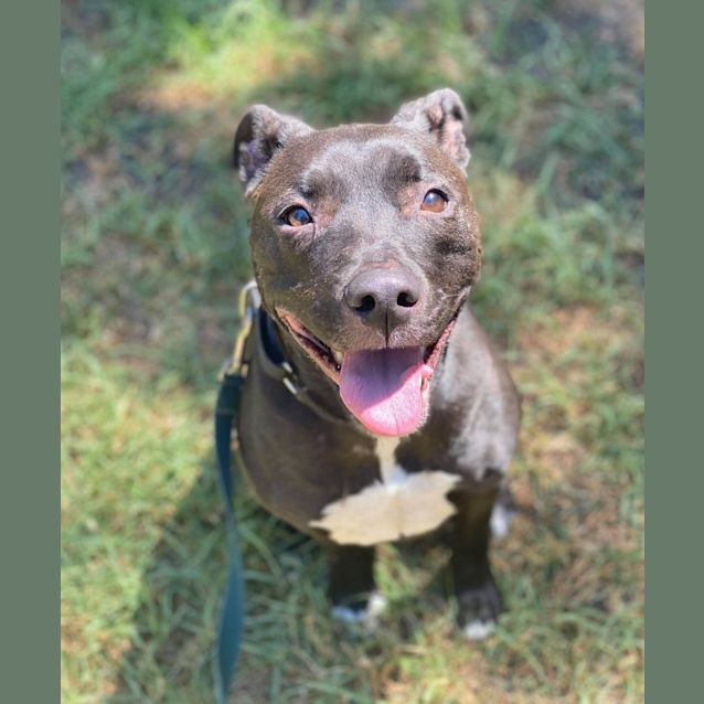 Photo of Luna
