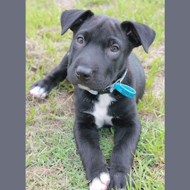 Photo of Togo