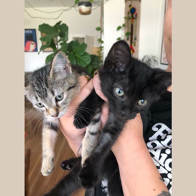 Photo of Joy And Fred Penn