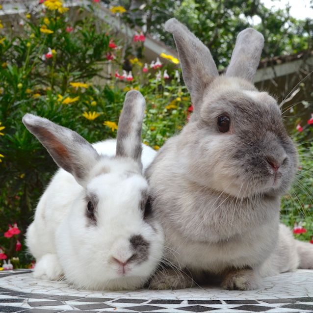 Photo of Carol And Sharon