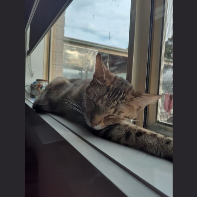 Photo of Jasmine