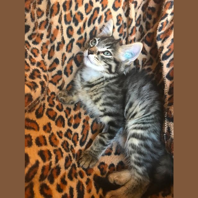 Photo of Preston 💥