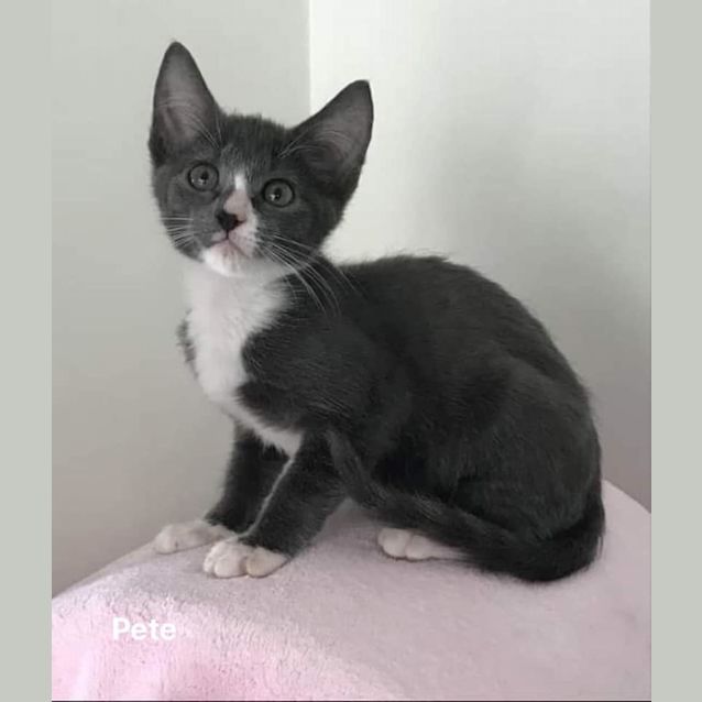 Photo of Pete
