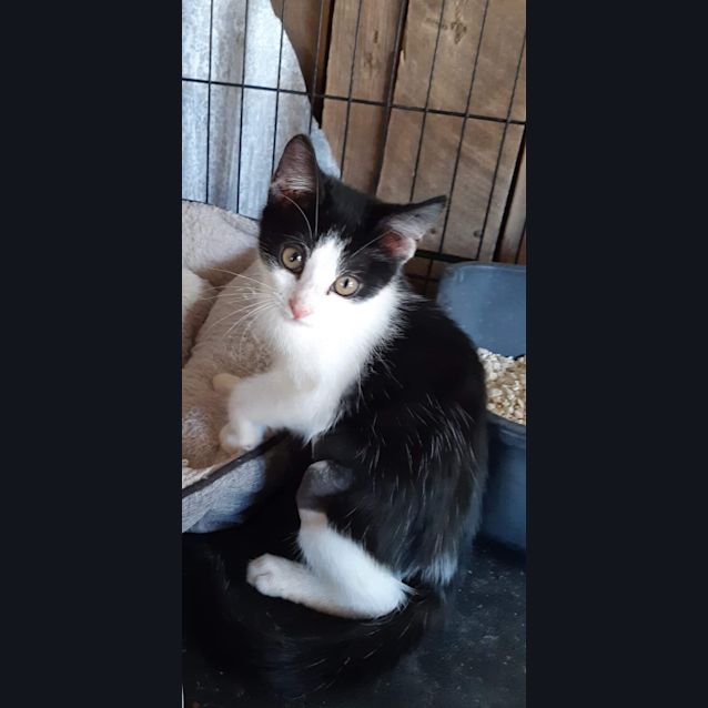 Photo of Matilda 