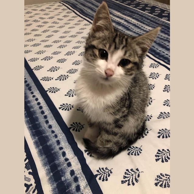 Photo of Lily 