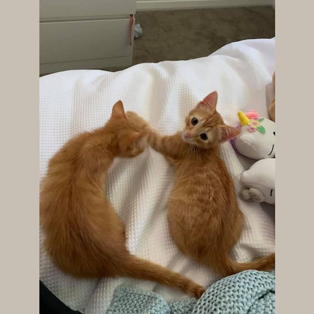 Photo of Monty 