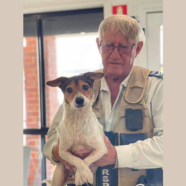 Photo of Spot And  Rusty