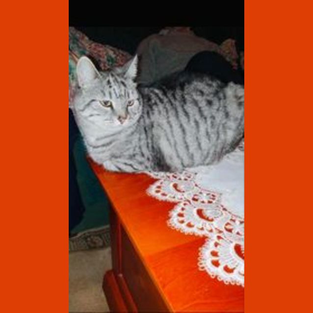 Photo of Monte And Milo