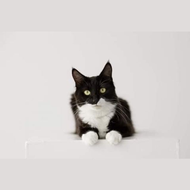 Photo of Skelly
