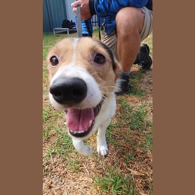 Photo of Prince Dl2604