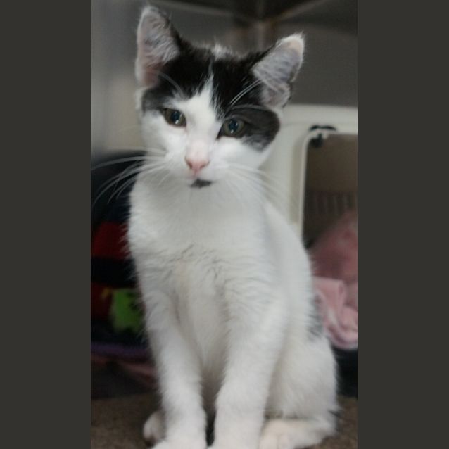 Photo of Bob
