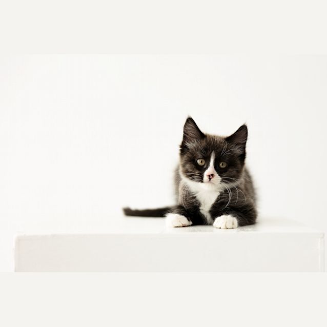 Photo of Blink