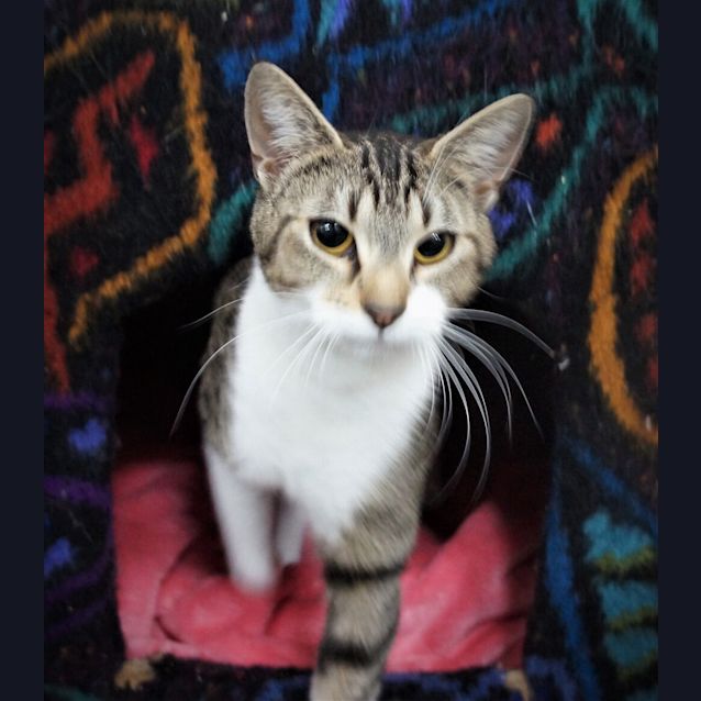 Photo of Belle