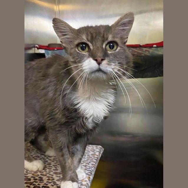 Photo of Gus