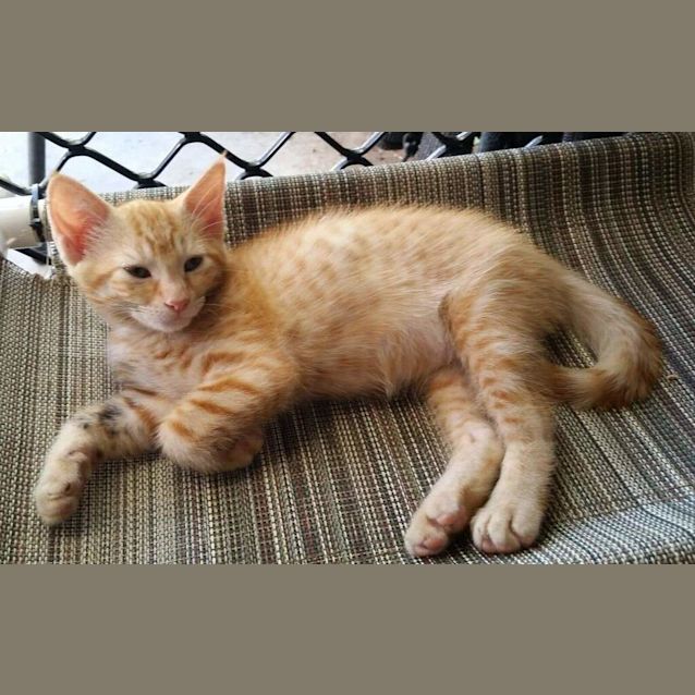 Photo of Sunny