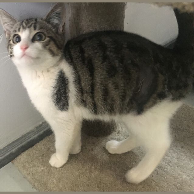 Photo of Glory