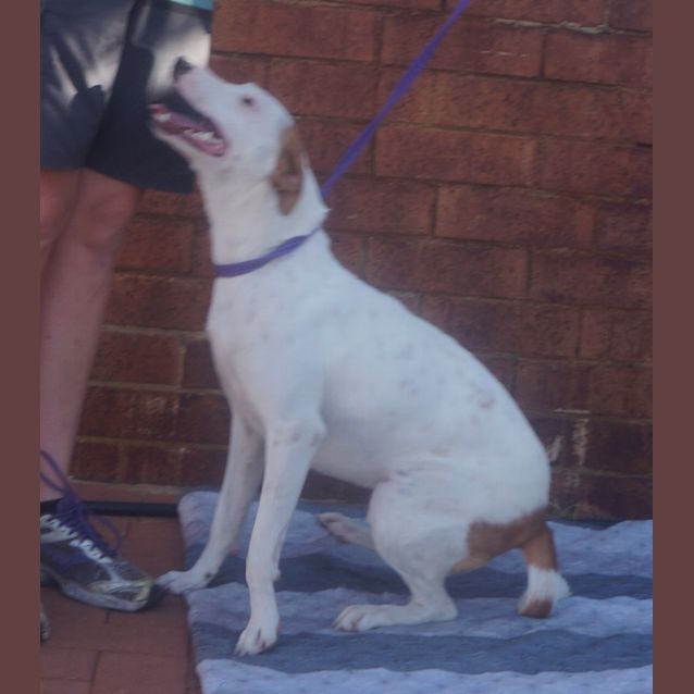 Photo of Lucy Goosie