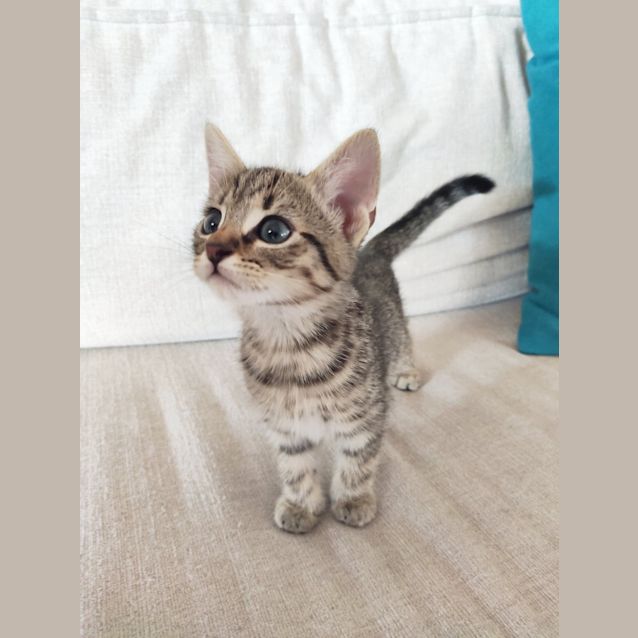 Photo of Hera 