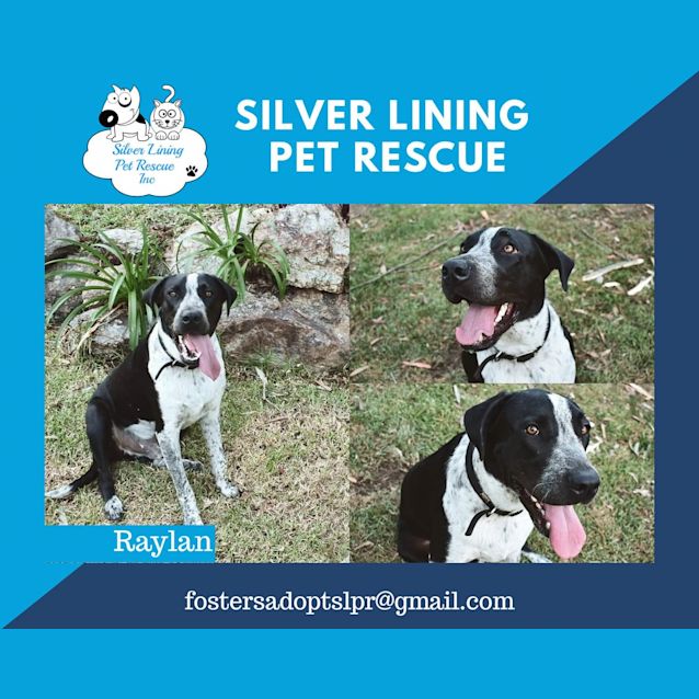 Photo of Raylan