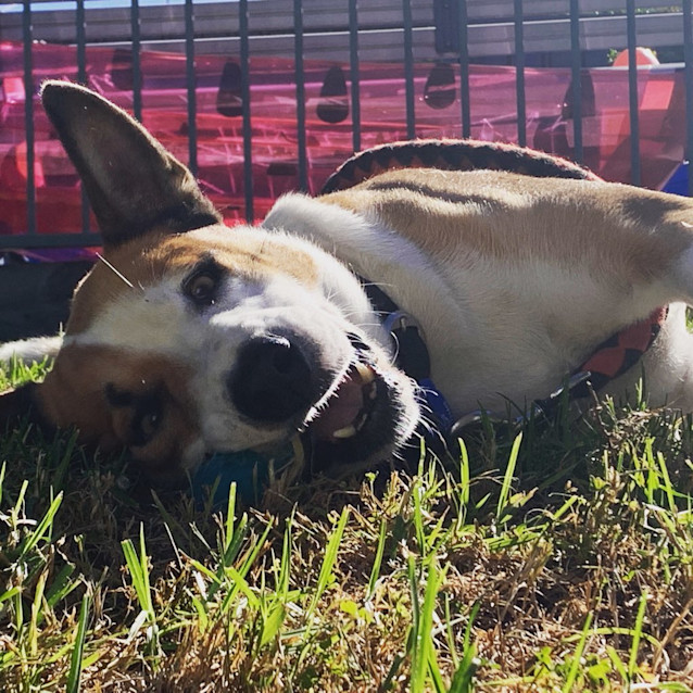 Photo of ♥ Barbie Girl ♥ ~ In My Barbie World