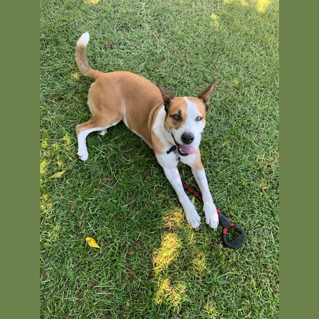 Photo of ♥ Barbie Girl ♥ ~ In My Barbie World