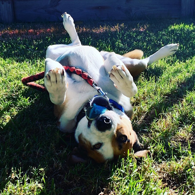 Photo of ♥ Barbie Girl ♥ ~ In My Barbie World