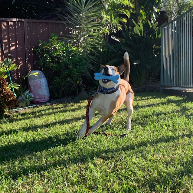 Photo of ♥ Barbie Girl ♥ ~ In My Barbie World