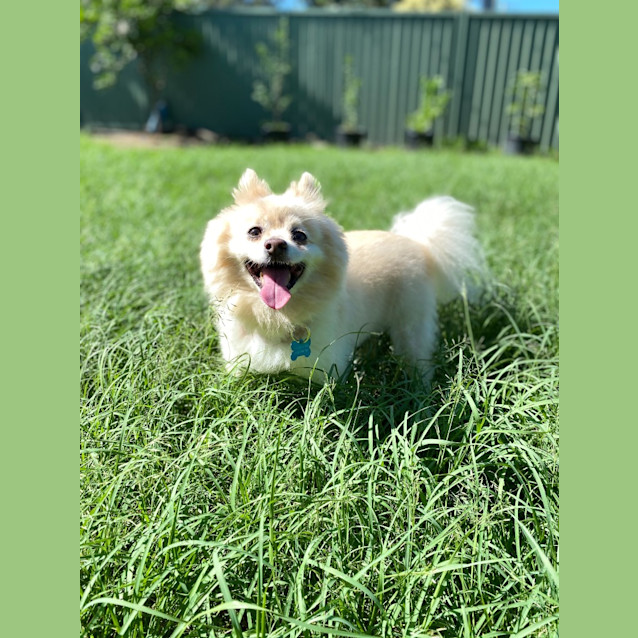 Photo of Maxie