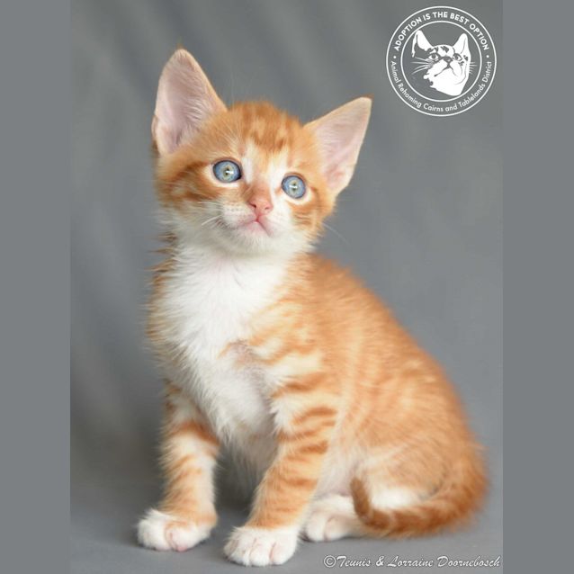 Photo of Quartz And Quinlan