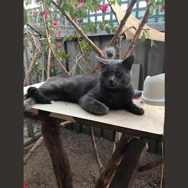 Photo of George 