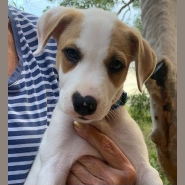 Photo of Billy