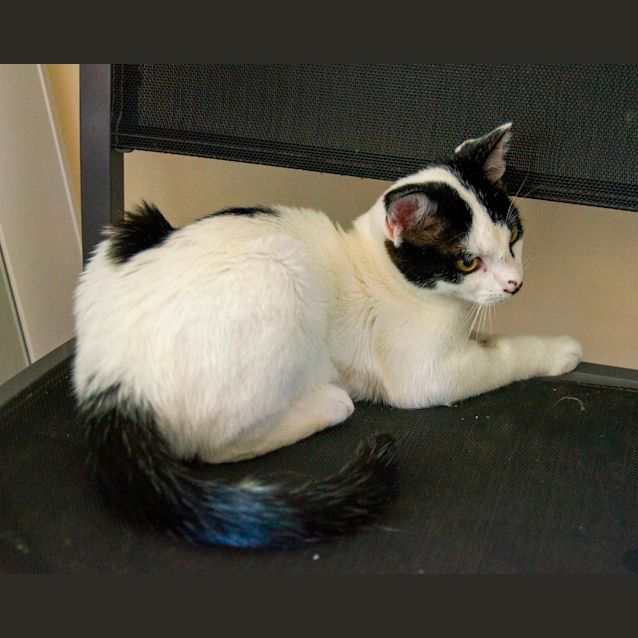 Photo of Squiggle