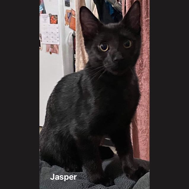 Photo of Jasper
