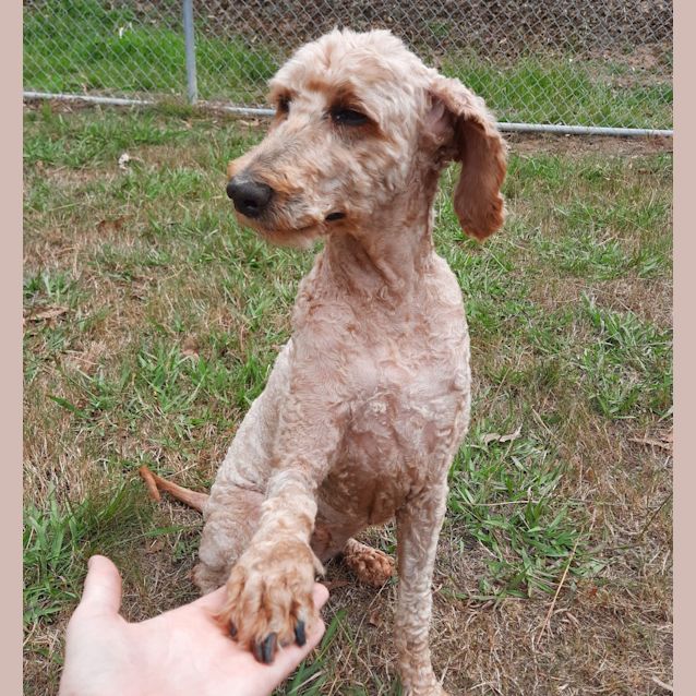 Photo of Molly