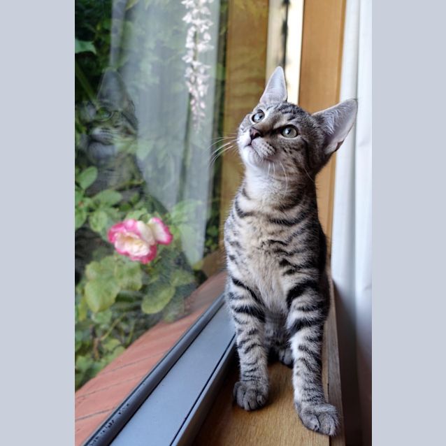 Photo of Arthur