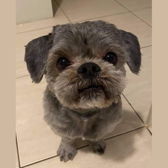 Photo of Jayk Dl2576