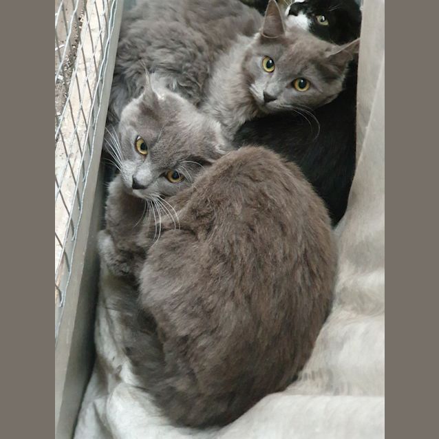 Photo of Tofu