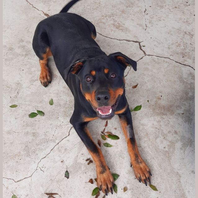 Photo of Coby 